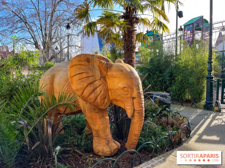 Square de la Jungle - nos photos