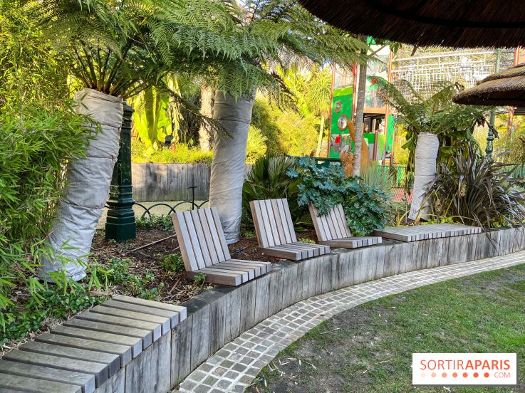 Square de la Jungle - nos photos