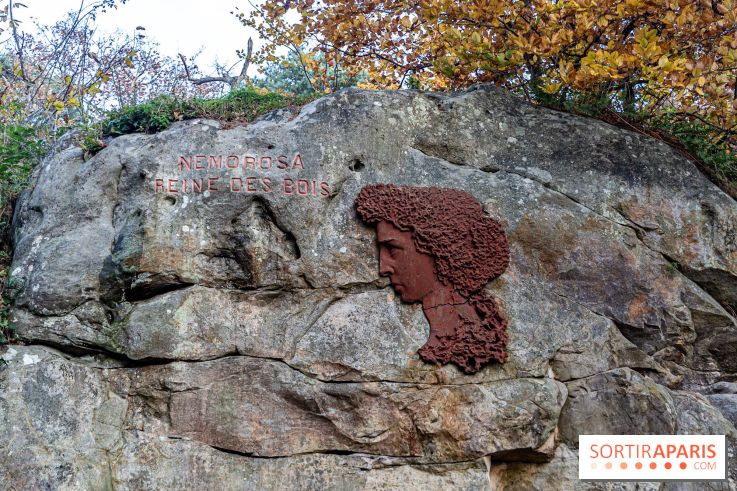 Randonnée à Fontainebleau : le sentier sur les pas de Denecourt jusqu’à la Tour Denecourt - A7C7555