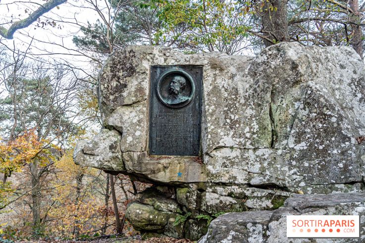 Randonnée à Fontainebleau : le sentier sur les pas de Denecourt jusqu’à la Tour Denecourt