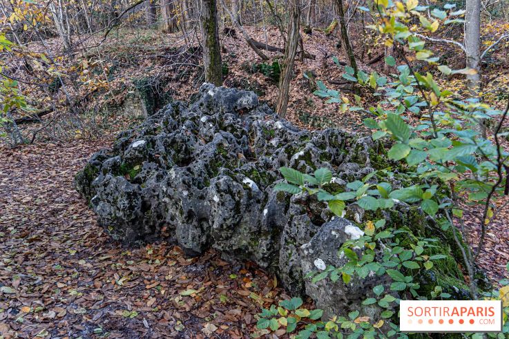 Randonnée à Fontainebleau : le sentier sur les pas de Denecourt jusqu’à la Tour Denecourt - A7C7571