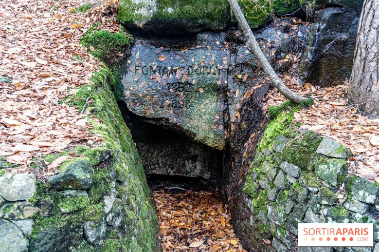 Randonnée à Fontainebleau : le sentier sur les pas de Denecourt jusqu’à la Tour Denecourt - A7C7580