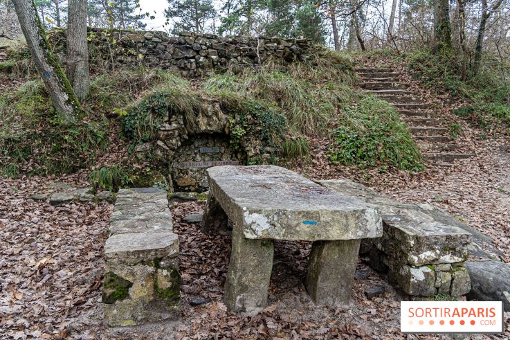Randonnée à Fontainebleau : le sentier sur les pas de Denecourt jusqu’à la Tour Denecourt - A7C7583
