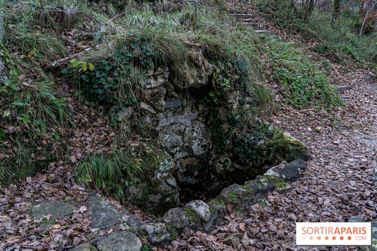 Randonnée à Fontainebleau : le sentier sur les pas de Denecourt jusqu’à la Tour Denecourt - A7C7584