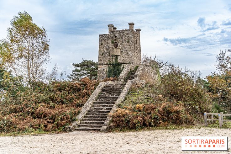 Randonnée à Fontainebleau : le sentier sur les pas de Denecourt jusqu’à la Tour Denecourt - A7C7600
