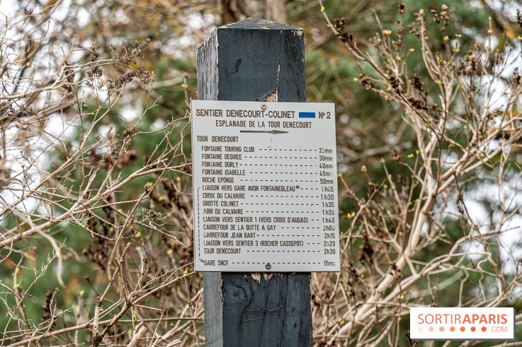 Randonnée à Fontainebleau : le sentier sur les pas de Denecourt jusqu’à la Tour Denecourt