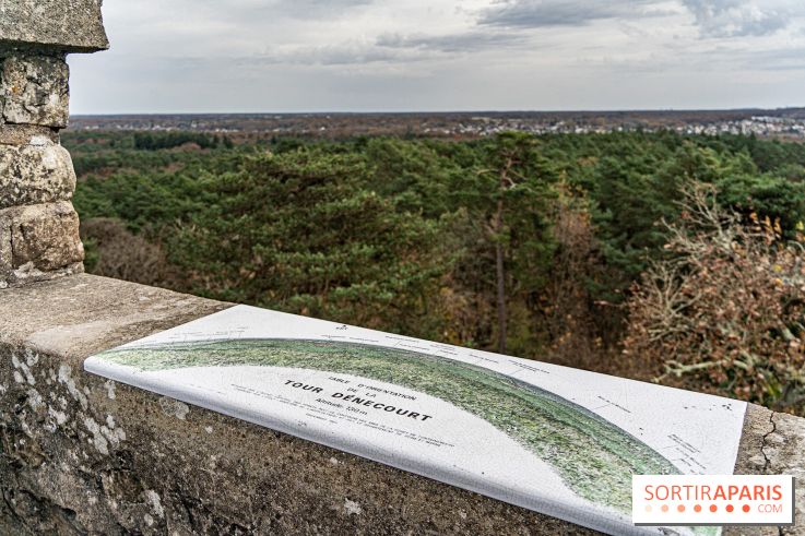 Randonnée à Fontainebleau : le sentier sur les pas de Denecourt jusqu’à la Tour Denecourt - A7C7615