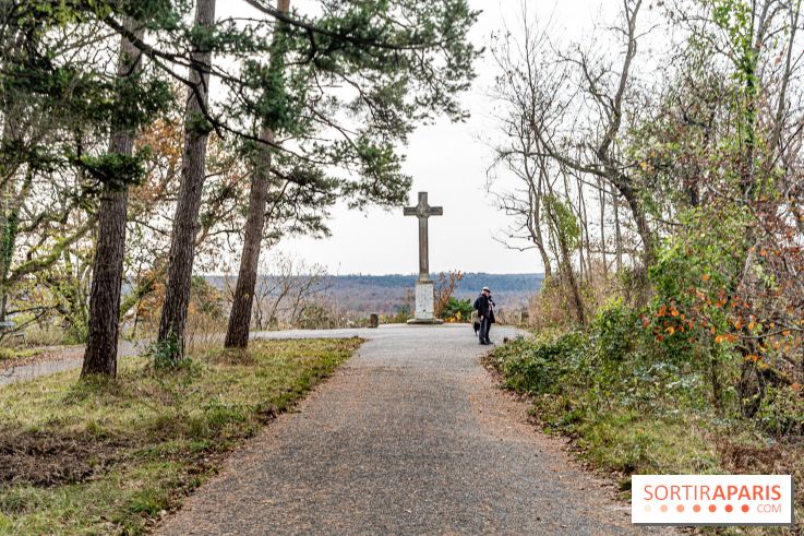 Randonnée à Fontainebleau : le sentier sur les pas de Denecourt jusqu’à la Tour Denecourt - A7C7618