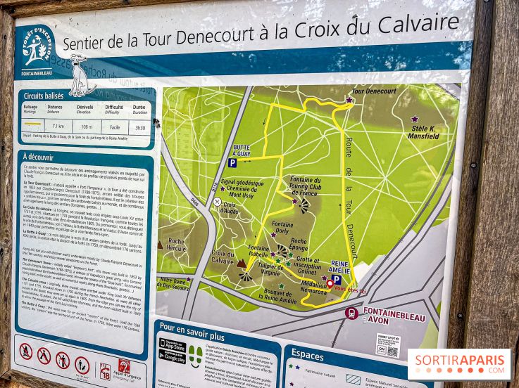 Randonnée à Fontainebleau : le sentier sur les pas de Denecourt jusqu’à la Tour Denecourt