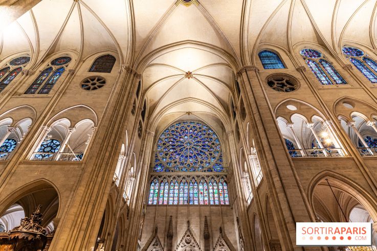 Visite de Notre-Dame de Paris -  A7C0196