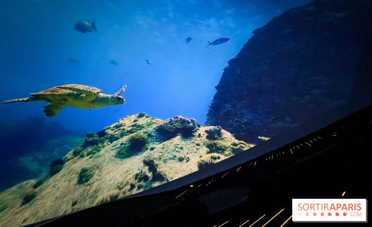 La Géode 2025 - IMG 8543 jpg