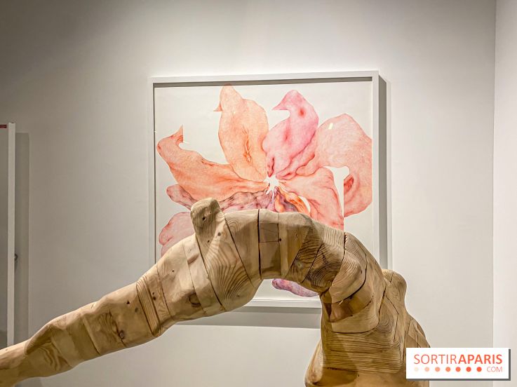 Exposition Belladone de Tatiana Wolska au Drawing Lab - IMG 2353