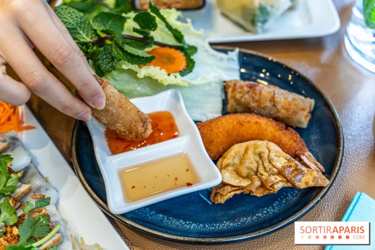 Chez An - Au coin du Vietnam, restaurant vietnamien du 14e à Paris - nems - assortiment frit