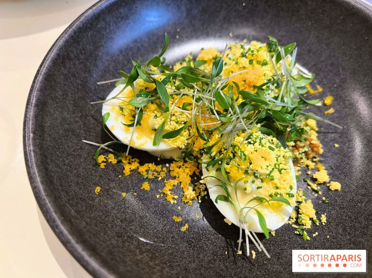 Argile - Oeufs mimosa, poutargue