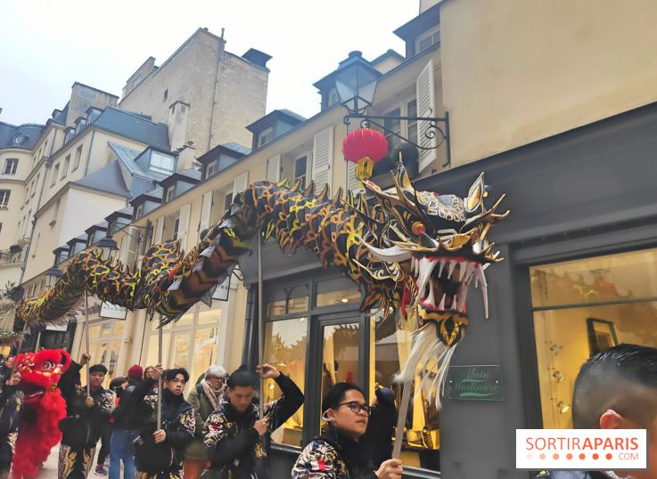 Défilé du Nouvel An Lunaire-Chinois Faubourg Saint-Honoré  - fotor 1738762018278