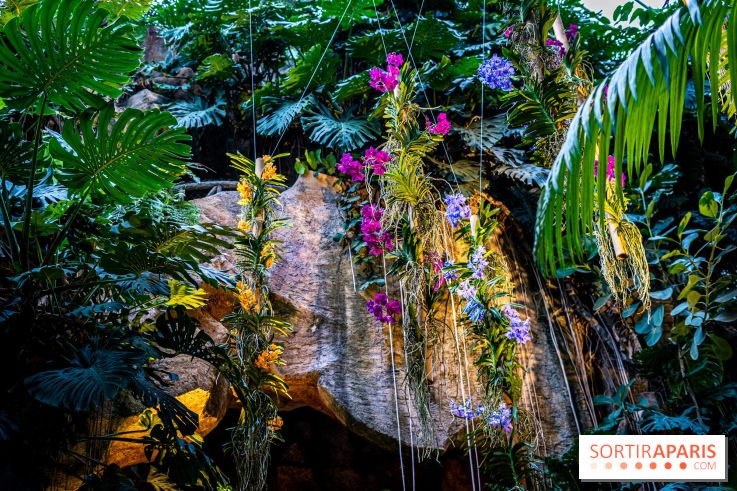 Mille et une orchidées 2025 - les photos