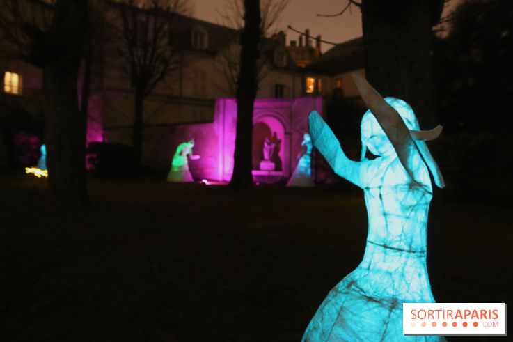 Exposition Silva Lumina au Centre Culturel Irlandais - Silva Lumina 13 fotor 2025020691830