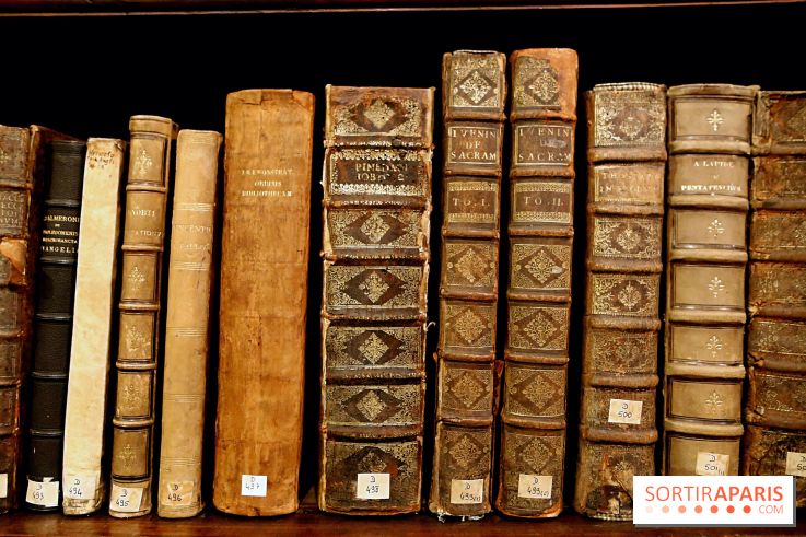 Centre Culturel Irlandais et sa bibliothèque - IMG 7630 fotor 20250210172113