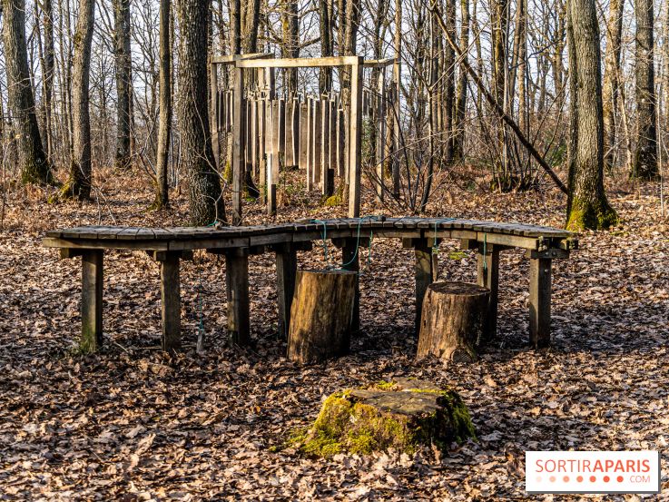 Balade sentier : Conte de Mélida, l'esprit de la forêt en forêt de Méridon (78) - A7C02314