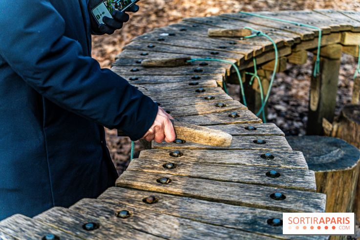 Balade sentier : Conte de Mélida, l'esprit de la forêt en forêt de Méridon (78) - A7C02316