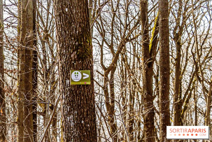 Balade sentier : Conte de Mélida, l'esprit de la forêt en forêt de Méridon (78) - A7C02319
