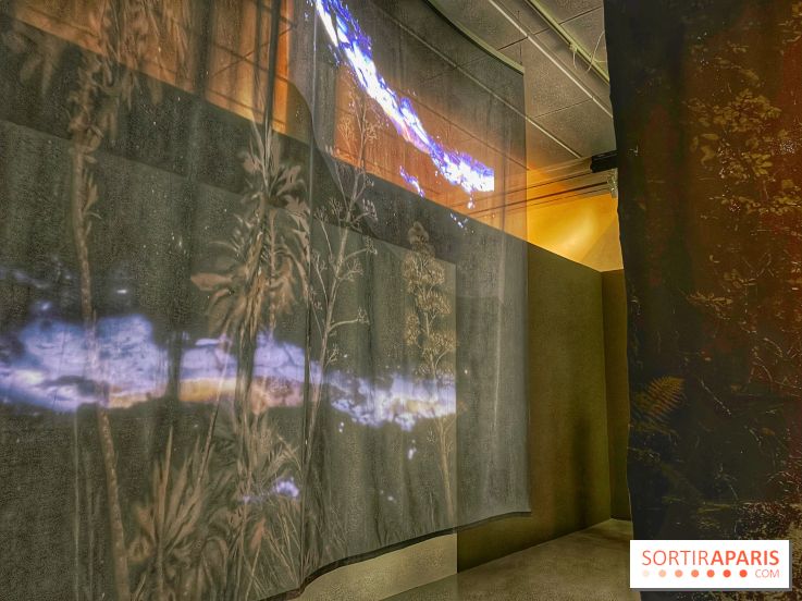 Paysages mouvants - IMG 8696