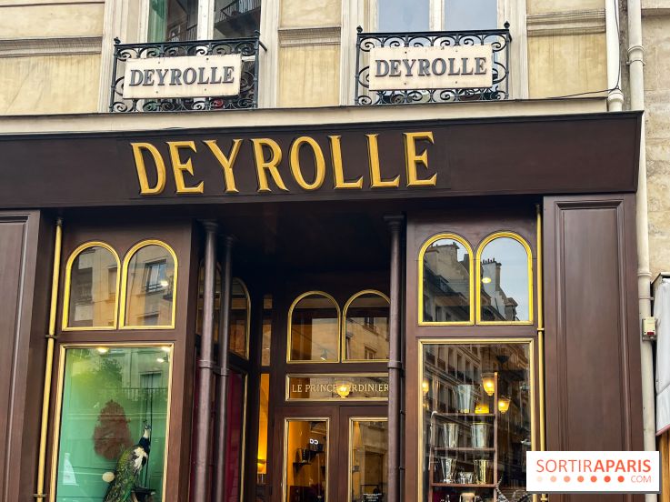 Deyrolle, l'incroyable cabinet de curiosités à Paris - nos photos