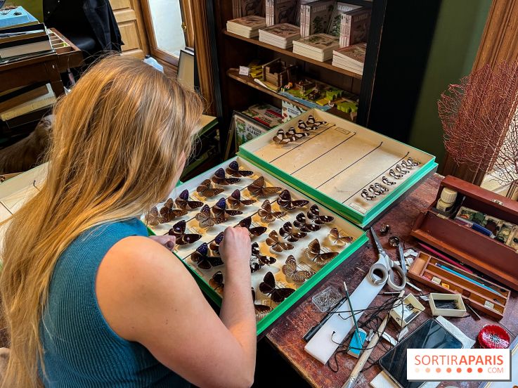 Deyrolle, l'incroyable cabinet de curiosités à Paris - nos photos