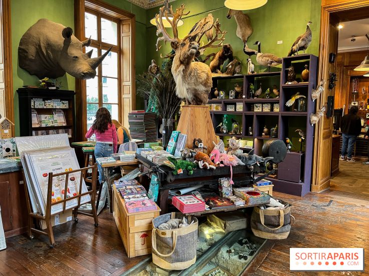 Deyrolle, l'incroyable cabinet de curiosités à Paris - nos photos