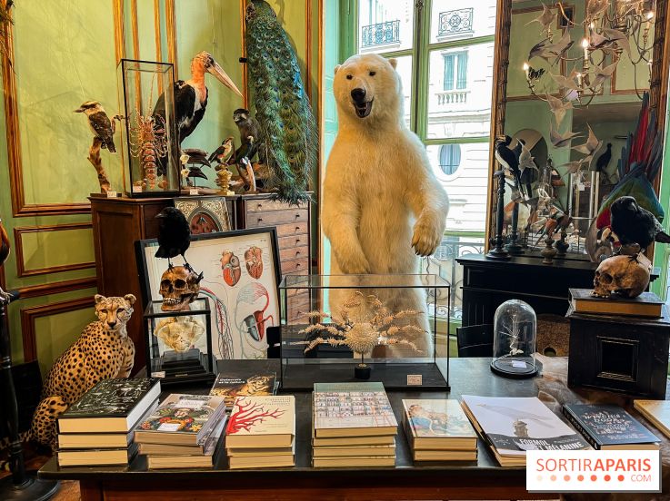 Deyrolle, l'incroyable cabinet de curiosités à Paris - nos photos