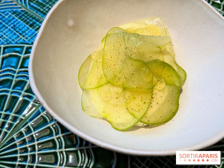 Le Christine - Sorbet pomme, kiwi déshydraté