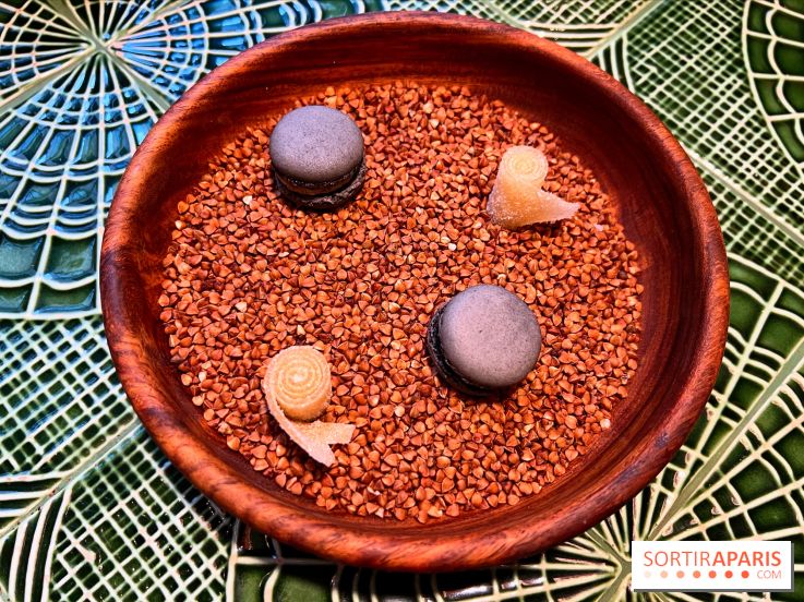 Le Christine - Macaron citron noir, bonbon pomme yuzu