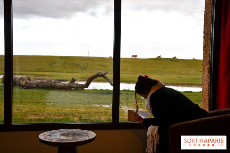 Le Royaume des Lions, l'hôtel immersif à la Lumigny Safari Reserve - nos photos - C46526C1 A8FD 4F28 9DED F6B5DC426CB1