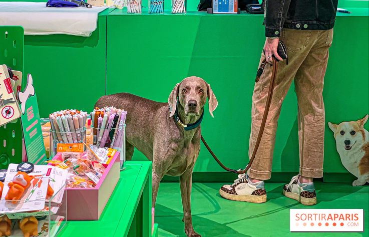 Je T'aime Comme Un Chien : food, mode, déco ... une expo qui a du chien au Bon Marché Rive Gauche - image00060