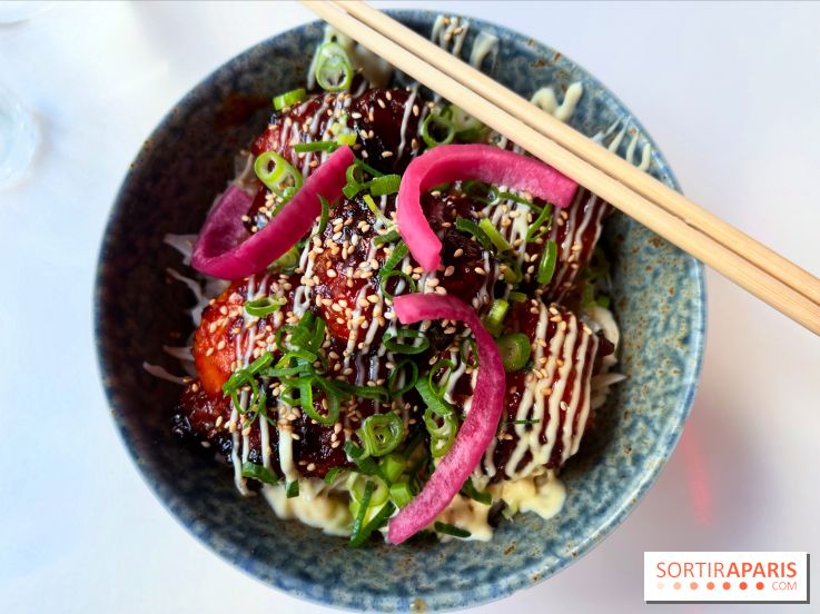Kuma - Donburi karaage