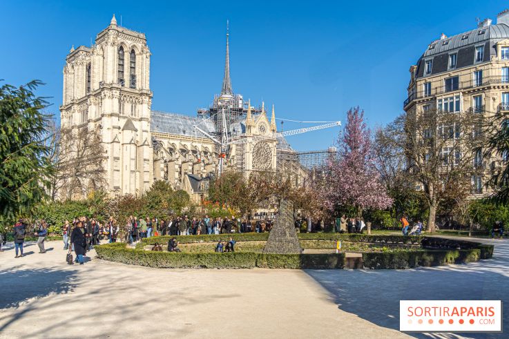 Le Square Viviani devant Notre-Dame de Paris