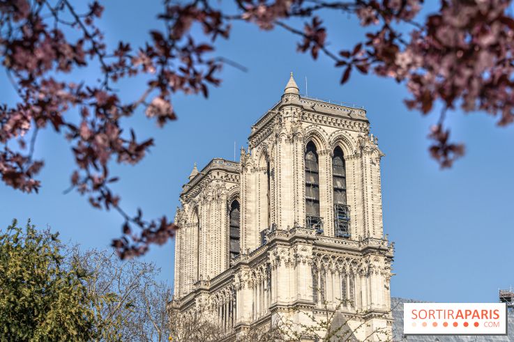 Le Square Viviani devant Notre-Dame de Paris