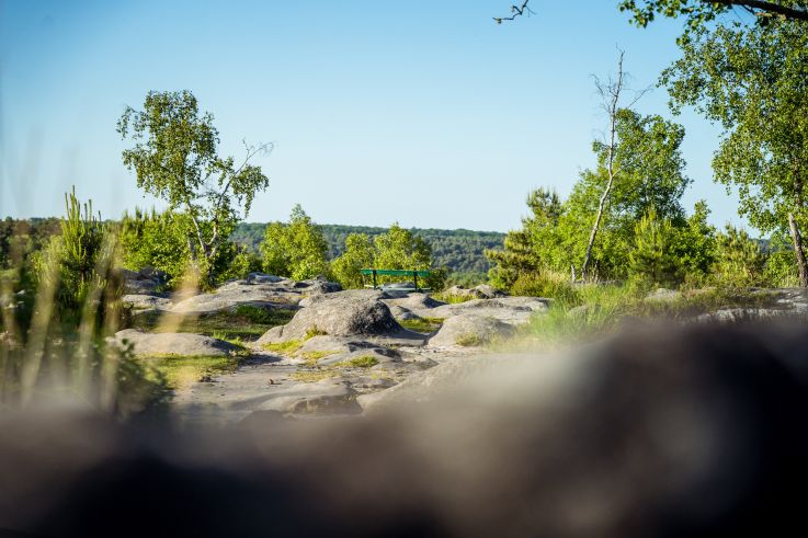 Planifiez dès maintenant vos week-ends et séjours de 2026 au Pays de Fontainebleau ! 