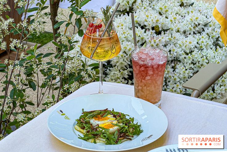 Le Jardin : le nouveau restaurant-terrasse bucolique d'Alain Ducasse chez Baccarat