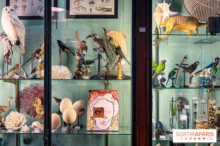 L'exposition gratuite des œuvres de Johnny Depp dans un cabinet de curiosités parisien