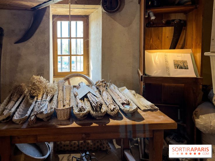 Le moulin de Montfermeil - nos photos - A6A41F08 6FEE 47E6 9C1C 138F5B74BC82