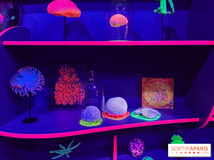 Digital Abysses au musée en Herbe - nos photos - E6BCA310 565F 4759 9D61 097FAD60F57B