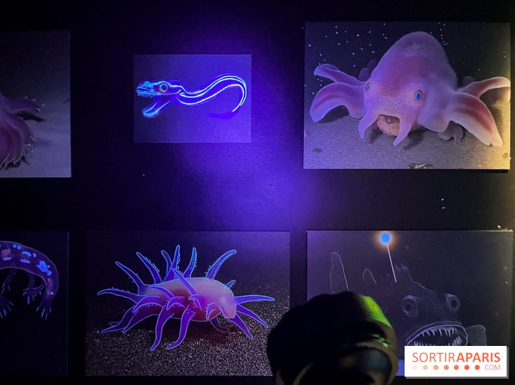 Digital Abysses au musée en Herbe - nos photos - 75DC5D6A 1C62 4583 B62A 02535EB14982