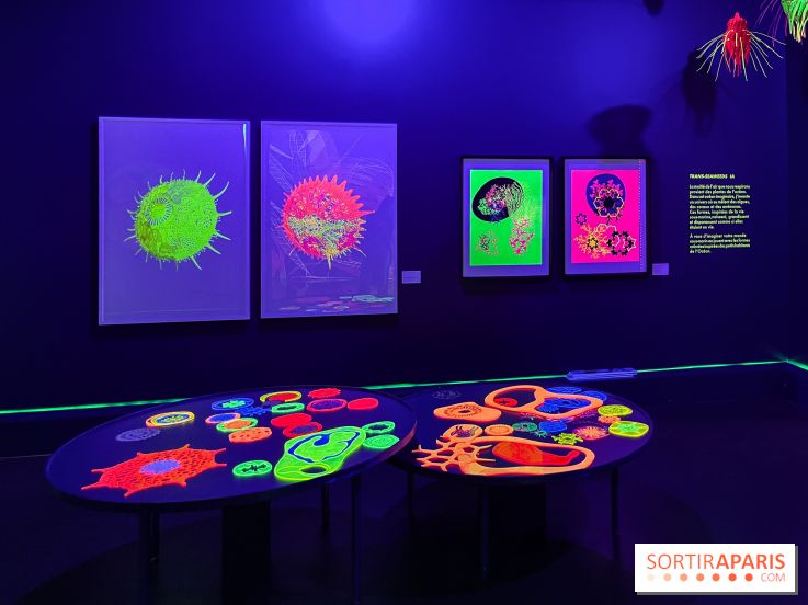 Digital Abysses au musée en Herbe - nos photos - 3745AE4D 21DE 401B 9D84 672927FE40D8