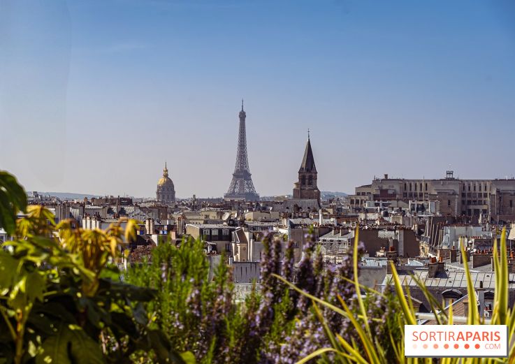 Rooftop de Dame des Arts, la terrasse panoramique sur les toits de Paris - photos
