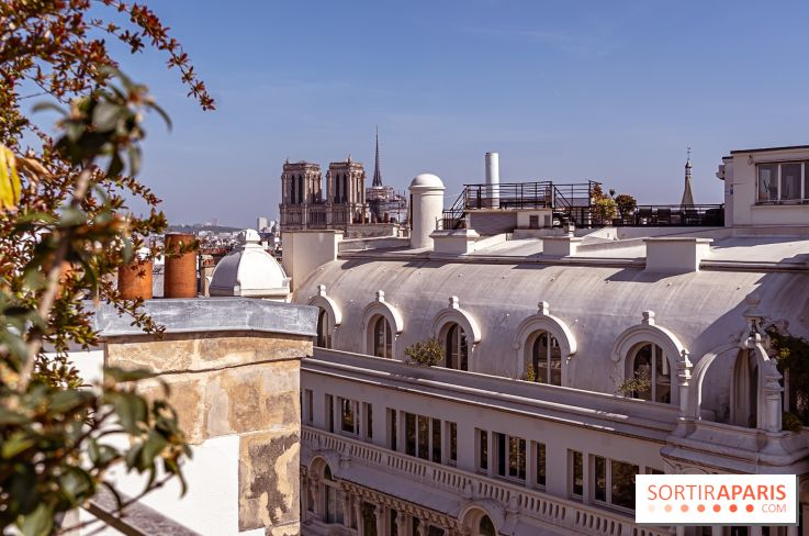 Rooftop de Dame des Arts, la terrasse panoramique sur les toits de Paris - photos