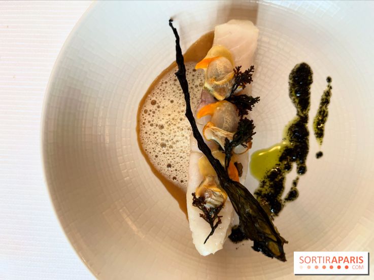 Le Pergolèse - Lieu jaune, coquillages