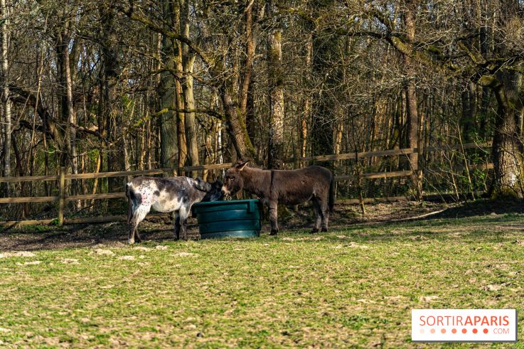 La Ferme de l’Abbaye des Vaux de Cernay : l'hôtel de charme en pleine nature dans les Yvelines - photos