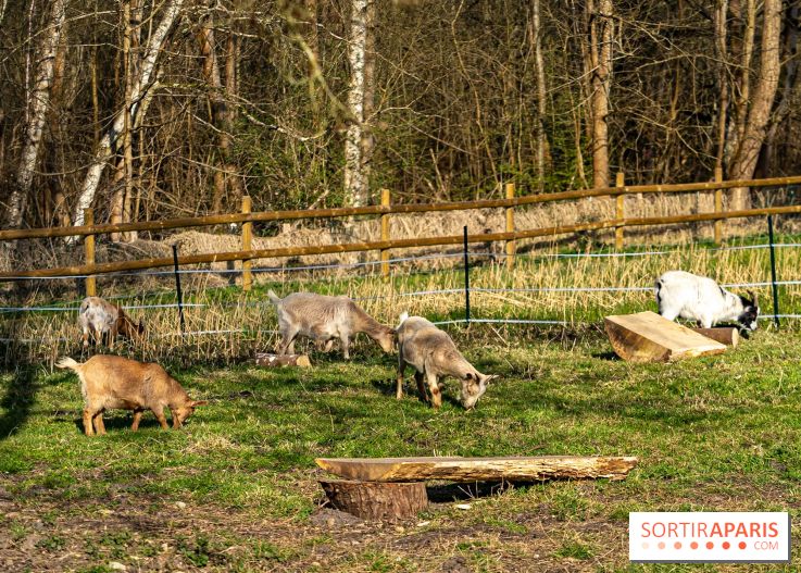 La Ferme de l’Abbaye des Vaux de Cernay : l'hôtel de charme en pleine nature dans les Yvelines - photos
