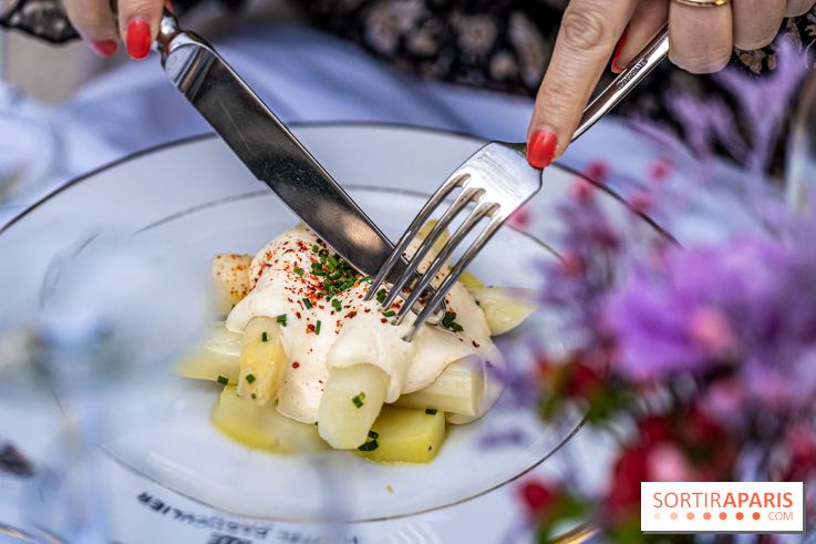 Terrasse de l'Hôtel Particulier, le jardin verdoyant au cœur de Montmartre - photo - A7C06425